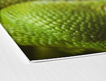 Rigid Sign Printing - Poly-Styrene Signs